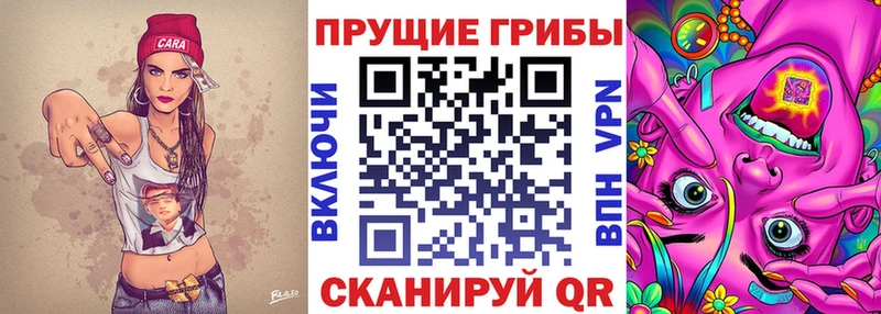 Галлюциногенные грибы MAGIC MUSHROOMS  Купить где  Полесск 